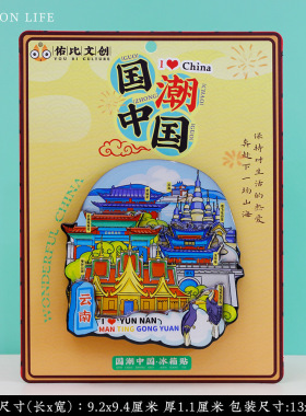 丽江西双版纳昆明大理冰箱贴纪念
