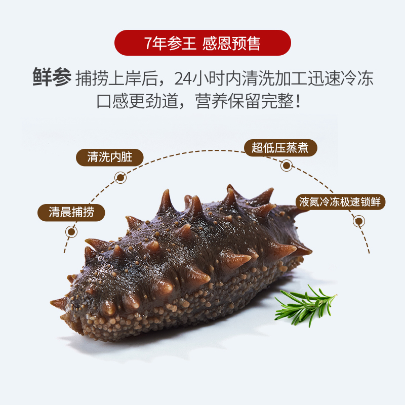 好当家食品旗舰店好当家即食参王1600g冷冻有机刺参20头海鲜海参礼盒3.2斤2