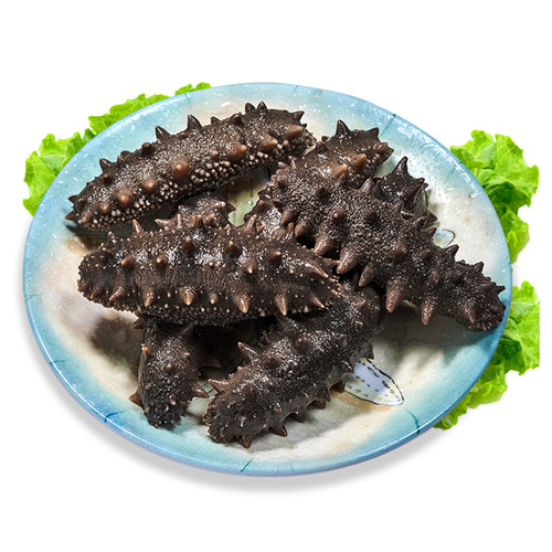 好当家即食海参1600g约20只7年参龄冷冻有机刺参中秋礼盒3.2斤 - 图0