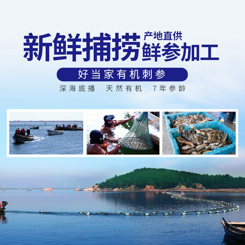好当家即食海参1600g约20只7年参龄冷冻有机刺参中秋礼盒3.2斤 - 图3