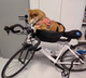 Mountain bike pet basket road bike with dog basket