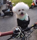 Mountain bike pet basket road bike with dog basket