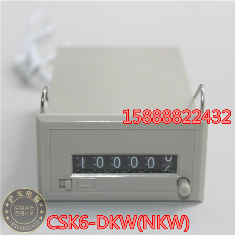 保仕德电磁计数器CSK6-CKW(YKW) CSK5-DKW(NKW)CSK4 24V 220V 110 - 图1