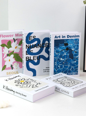 假书仿真书装饰品现代简约英文会所样板书房装饰摆件书模型道具