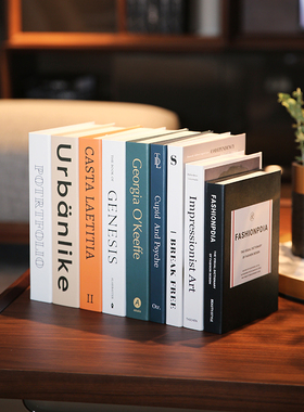 简约现代风英文模型摄影仿真书