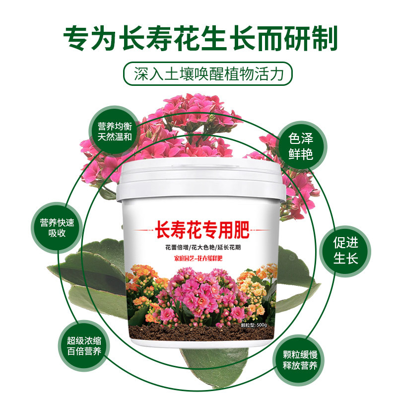 长寿花专用肥颗粒缓释型有机肥料增根壮苗促花期多营养不板结盆栽,淘宝优惠券,粉丝福利购,淘宝优惠卷