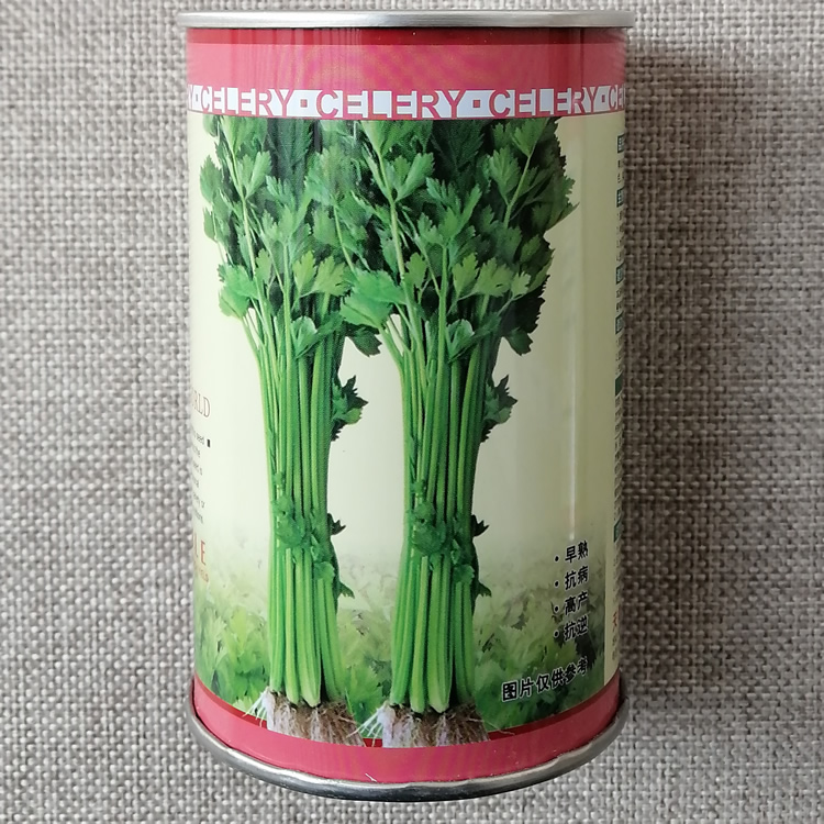 四季小香芹种子 实心小芹菜 早熟直立性强 叶柄嫩绿 高产芹菜种籽 - 图3