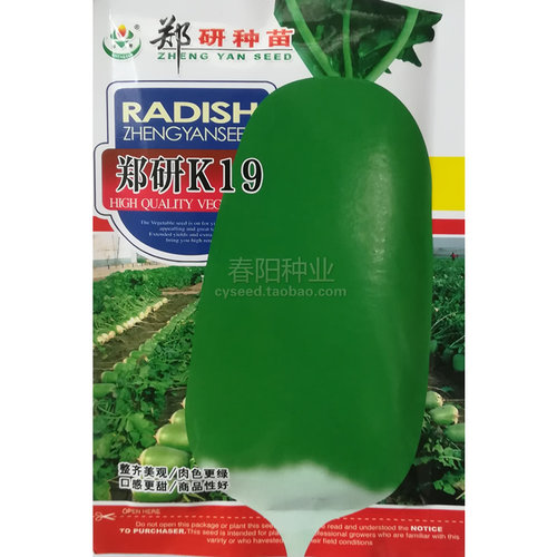 郑研K19萝卜种子 青皮青肉 口感脆甜 水果萝卜种籽 高产791萝卜 - 图0