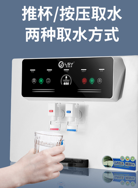 反渗透8寸霖思源B10语音播报净水器加热一体机家用自来水过滤器