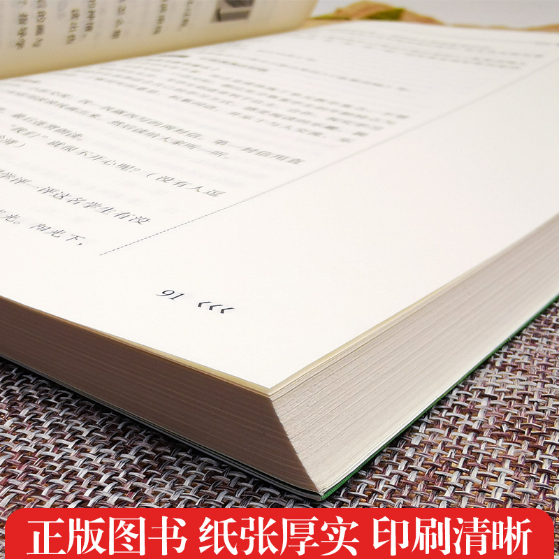 【任选】2022年版义务教育语文课程标准案例式解读小学语文王崧舟课程标准新课标准解读小学语文课标课例式解读案例式解读小学数学-图2