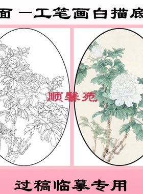 MT20牡丹花鸟椭圆形扇面工笔画白描底稿定制线描国画稿条幅