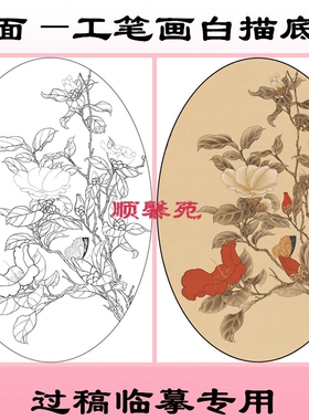 NT13定制花鸟图案椭圆形扇面工笔画白描底稿线描国画稿茶花玉兰