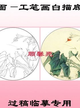 花鸟工笔画白描底稿线描画稿团扇