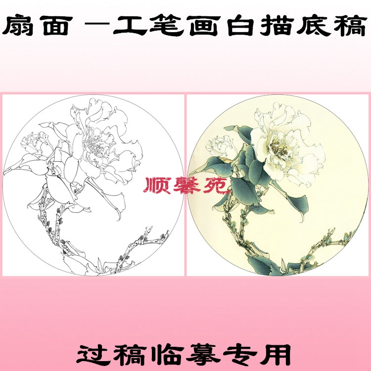 N271团扇花鸟圆形扇面工笔画白描底稿线描国画稿牡丹荷花过稿临摹 - 图2