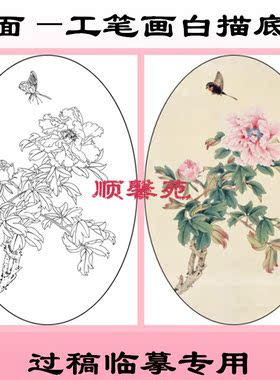 MT5牡丹椭圆形扇面工笔画白描底稿白纸线描画稿图案过稿临摹条幅