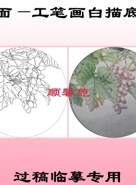 花鸟工笔画白描底稿团扇