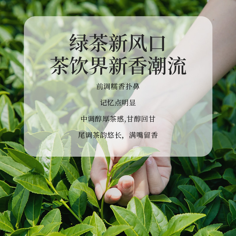 糯香绿茶糯米香柠檬茶底鲜奶茶水果大口茶同款原料茶叶奶茶店专用