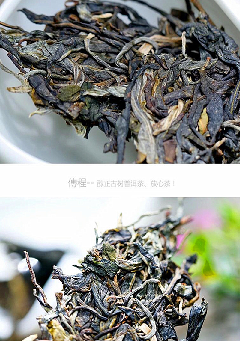 彩程私家普洱茶标杆2018年传程古树普洱饼茶生茶500g获奖花果蜜香