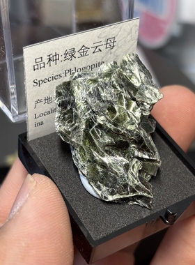 金绿云母原石天然矿物晶体标本猫矿石能量石晶宝石地质科普教学