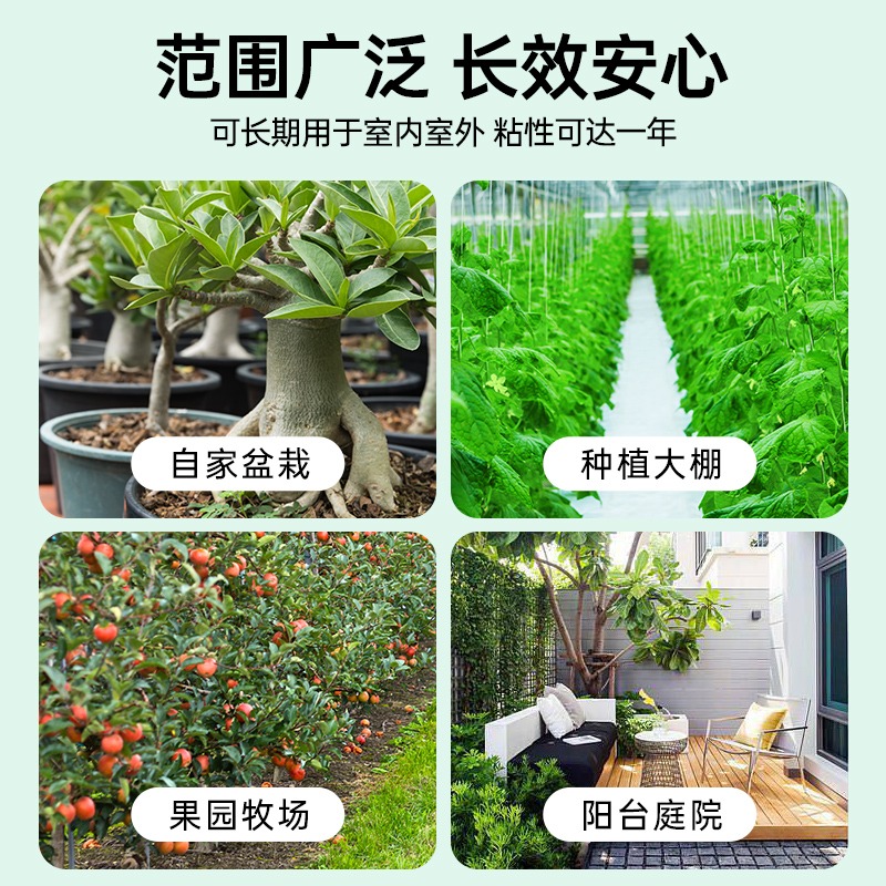 粘虫板黄板双面小飞虫灭杀神器大棚灭苍蝇贴纸果园果蝇蚊子诱捕器 - 图1