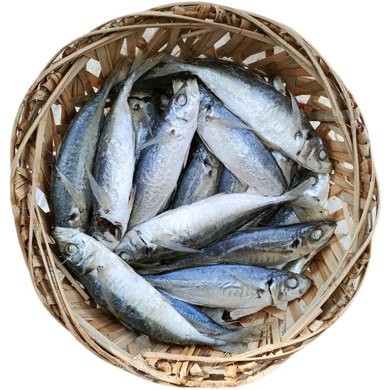 当天海捕现做潮汕打冷巴浪鱼饭福建闽南即食海鲜水产现煮熟鱼海鱼,淘宝优惠券,粉丝福利购,淘宝优惠卷