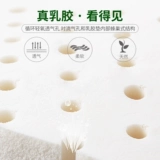 Латексное спортивное тонкое нижнее белье, сексуальный бюстгальтер без косточек, бюстгальтер пуш-ап, защитное белье, бюстгалтер