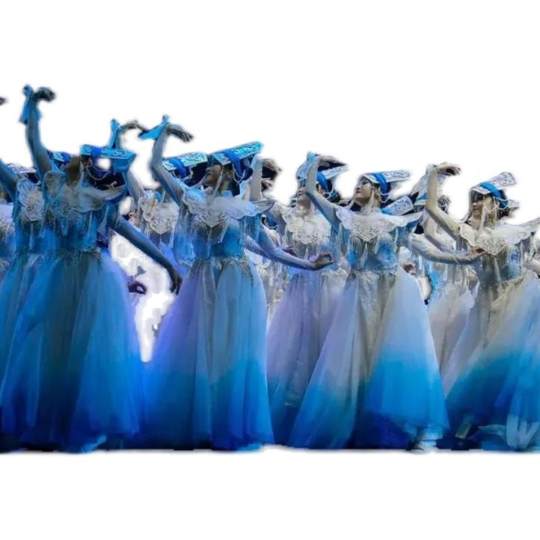 中国舞蹈荷花奖云上女士羌族舞台表演演出服装成人少数民族大摆裙