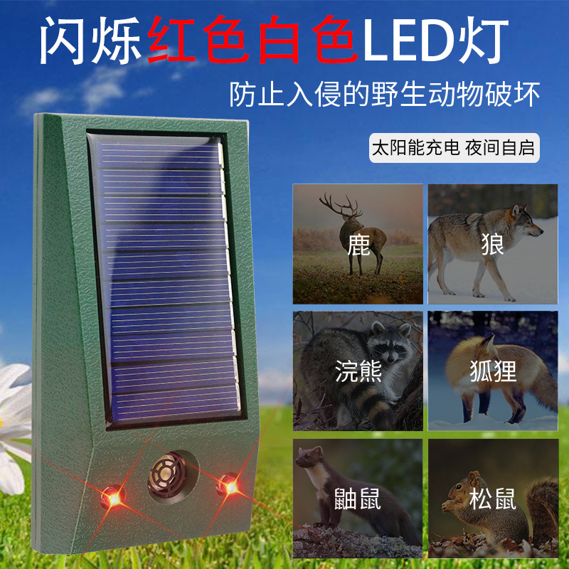 源头超声波驱鼠器太阳能驱狗器户外驱猫器驱狼器 - 图0