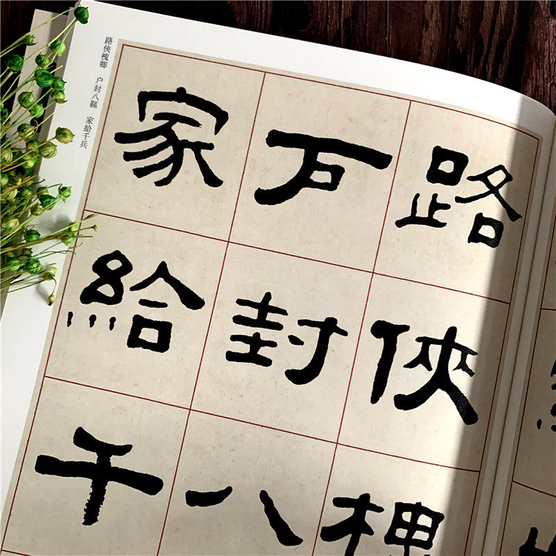 王福庵隶书千字文 清代隶书名家经典清代隶书名家经典超清原贴赵宏主编繁体旁注隶书碑帖练字帖临摹范本中国书店,淘宝优惠券,粉丝福利购,淘宝优惠卷