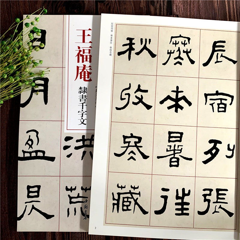 王福庵隶书千字文 清代隶书名家经典清代隶书名家经典超清原贴赵宏主编繁体旁注隶书碑帖练字帖临摹范本中国书店,淘宝优惠券,粉丝福利购,淘宝优惠卷