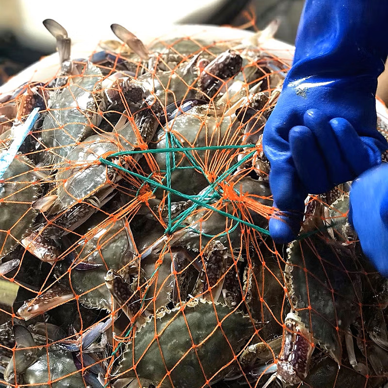 成都闪送  鲜活梭子蟹舟山兰花蟹超大肉蟹膏蟹大闸蟹面包蟹帝王蟹 - 图0