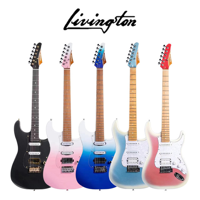 Leviston Electric Guitar Beginner's Advanced Set