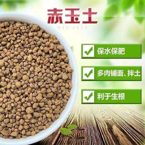 国产赤玉土盆景硬质多肉专用金松土土兰花铺面颗粒土种花盆栽通用 - 图0
