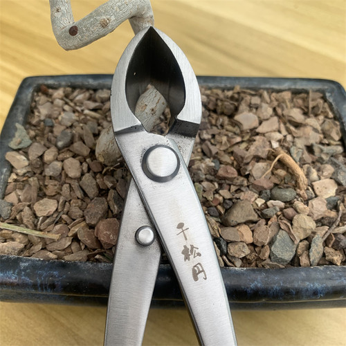 千松圆 球节剪 盆景修剪专业工具球形剪刀大号造型制作不锈钢球头 - 图1