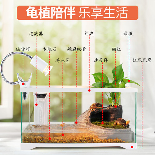 乌龟专用缸水陆缸带晒台客厅桌面玻璃鱼缸养龟巴西龟鱼饲养混养缸 - 图1