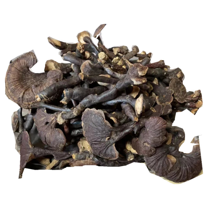 云南德宏野生竹灵芝野生赤灵芝整枝干货煮水泡酒煲汤食用礼盒包装,淘宝优惠券,粉丝福利购,淘宝优惠卷