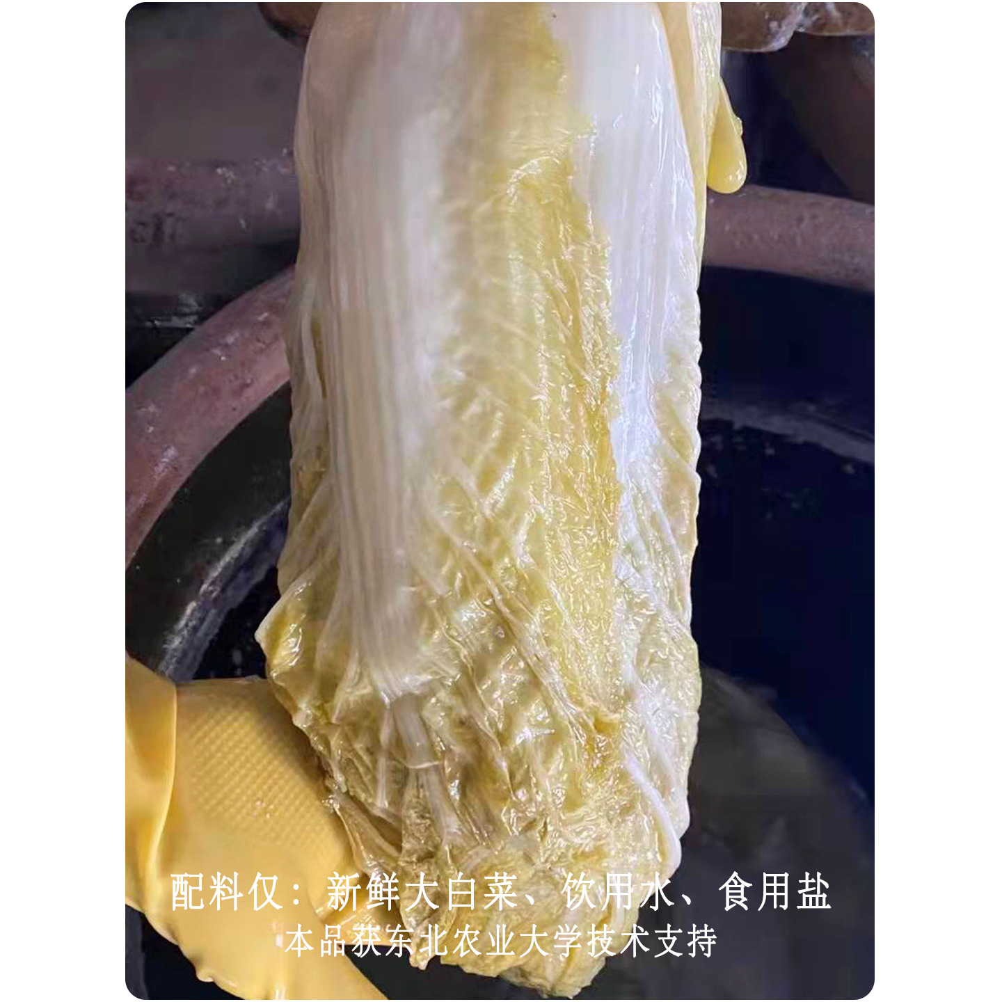 东北酸菜笨积大缸酸菜腌制酸菜白肉饺子馅500g×5(实发6袋) - 图0