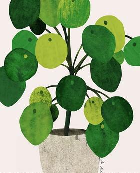 ins风清新治愈绿色植物装饰画
