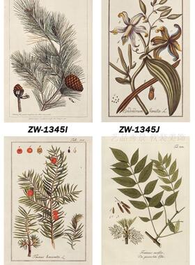 美式植物喷绘小清新风画心