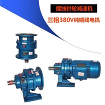 Cycloidal needle wheel horizontal BWD1 vertical reducer XWD2 variable speed belt straight connected motor with national standard copper core motor