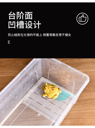 水陆两栖造景爬宠饲养盒龟缸饲养箱螃蟹饲养盒爬虫盒角蛙蝾螈守宫 - 图3