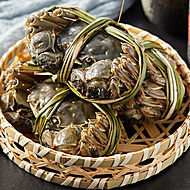 【基本上完整】固城湖大闸蟹4两公蟹3两母蟹