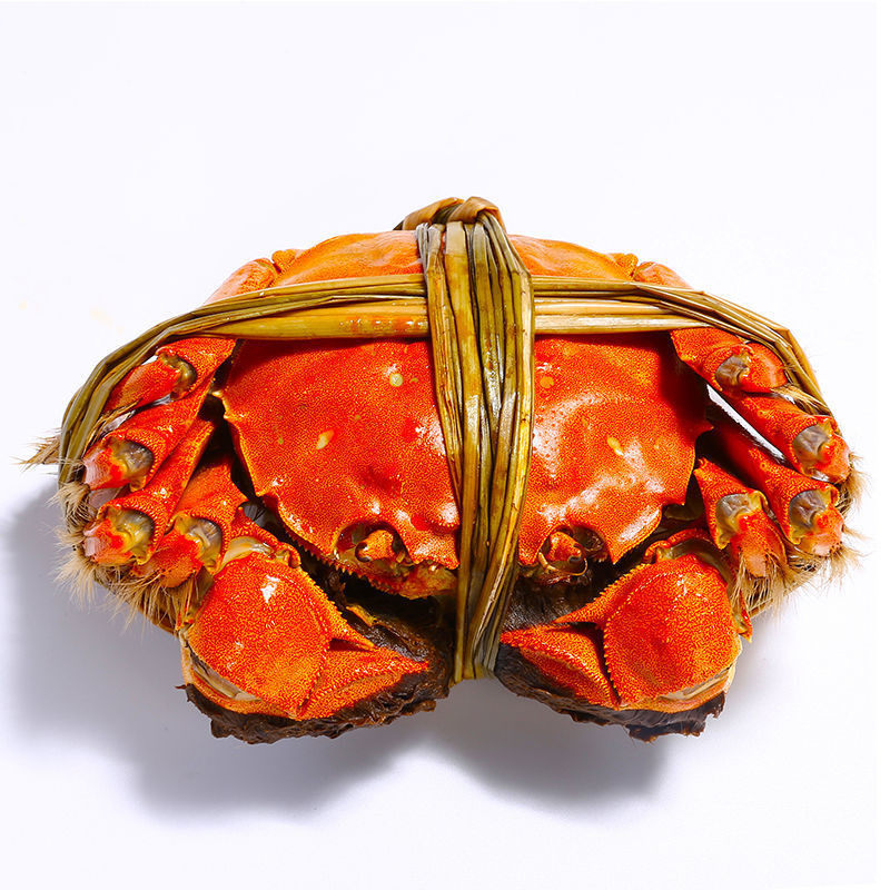 活蟹残蟹8只母蟹3.5-3.8两公蟹4.5-4.8两断脚断腿蟹固城湖大闸蟹,淘宝优惠券,粉丝福利购,淘宝优惠卷