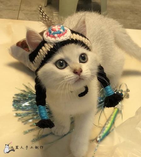宠物搞笑帽子饰品 土著人印第安人头饰 猫咪头套拍照抖音道具 - 图2