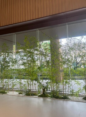 仿真竹子造景装饰新中式禅意绿植