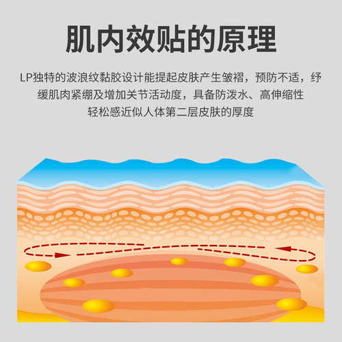 LP肌效能贴布运动绷带拉伤胶布防护透气健身膝盖大腿专用肌肉贴 - 图2
