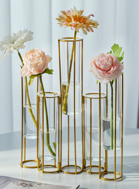 试管透明玻璃花瓶摆件家居餐桌电视柜插花装饰手工制作水养玻璃瓶