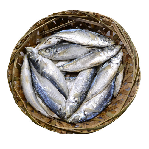 精致潮菜 巴浪鱼饭大条  熟鱼 即食少量做更新鲜 包邮顺丰 - 图3