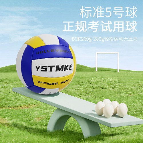 骆泰排球中考学生专用软式5号高弹不伤手初中小学儿童比赛气排球 - 图2