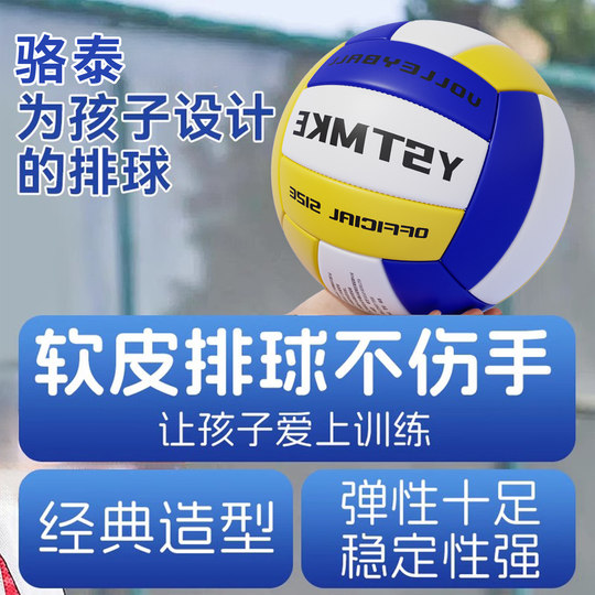 排球中考学生专用标准款5号初中生小学生少年男女软式气比赛训练
